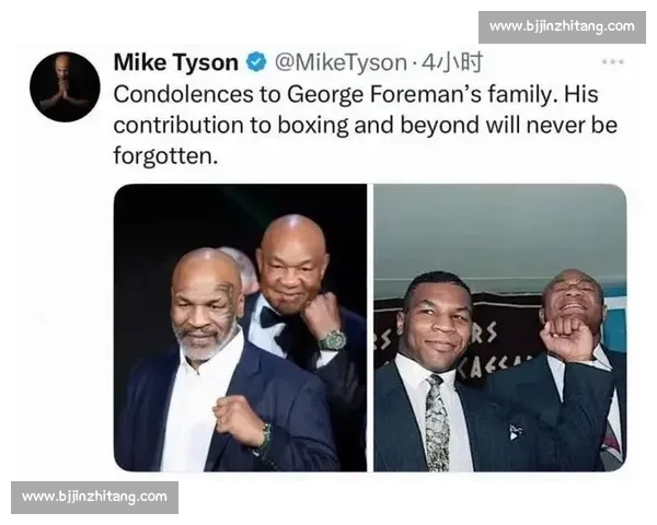 拳击世界冠军传奇人生与赛场荣耀全纪录揭秘